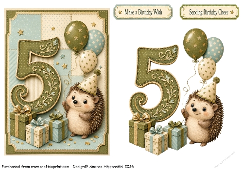 Number Card Birthday boy 5