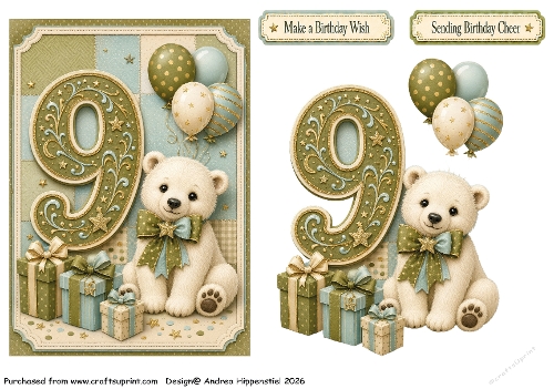 Number Card Birthday boy 9