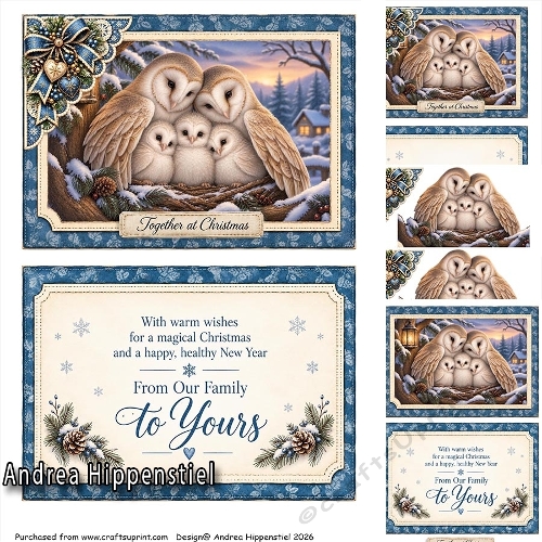 ** Together ** Owl