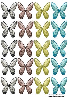 Butterflies Glimmer 1
