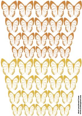 Butterflies 3
