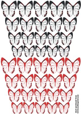 Butterflies 5