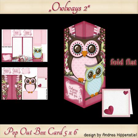 Pop Out Box Card Owl 2
