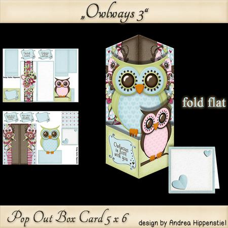 Pop Out Box Card Owl 3
