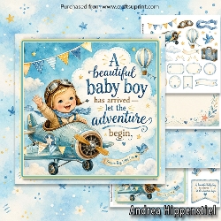 Baby Boy Adventure