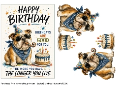 Birthday fun 12
