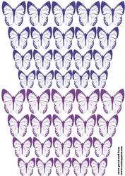 Butterflies 2