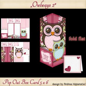 Pop Out Box Card Owl 2