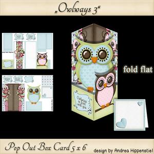Pop Out Box Card Owl 3