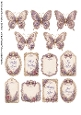 Beautiful Butterflies and Tags 5