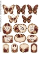 Beautiful Butterflies and Tags 6