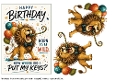 Birthday fun 16