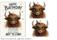Birthday fun 17