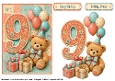 Number Card Birthday Girl 9