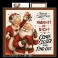Mr.and Mrs. Santa fun 1
