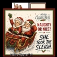 Mr.and Mrs. Santa fun 3