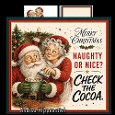 Mr.and Mrs. Santa fun 5