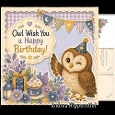 Birthday with Owl