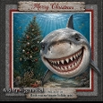 Merry Christmas **Just swam by**