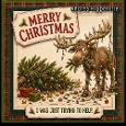 Merry Christmas **I was just trying to help*