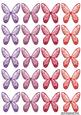 Butterflies Glimmer 2