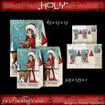 3 Pinchbags Holly