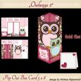 Pop Out Box Card Owl 2