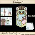 Pop Out Box Card Owl 3