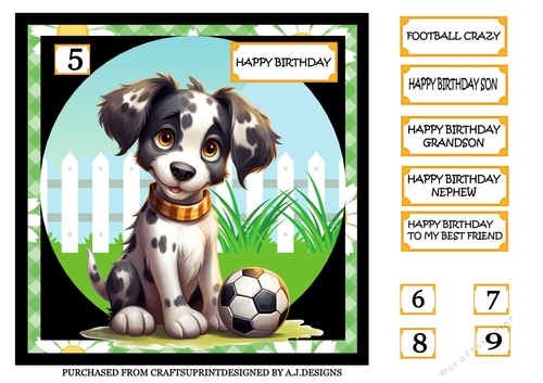 FOOTBALL CUTE DOG