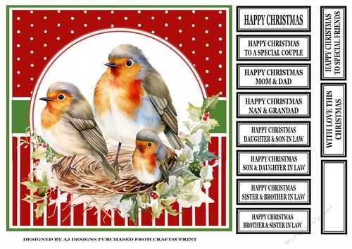 CHRISTMAS ROBIN FAMILY