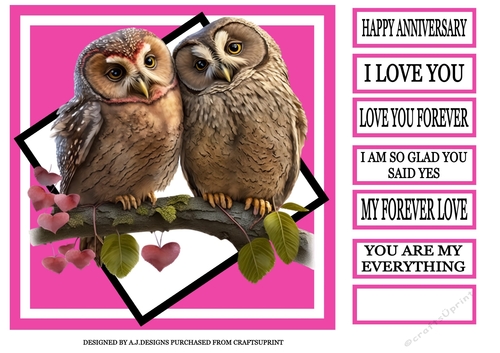 HAPPY ANNIVERSARY OWLS 3