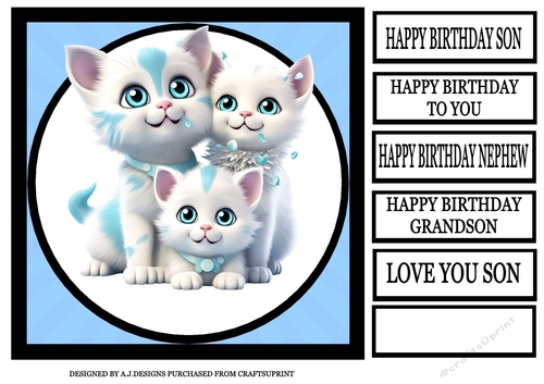 HAPPY BIRTHDAY SON CATS