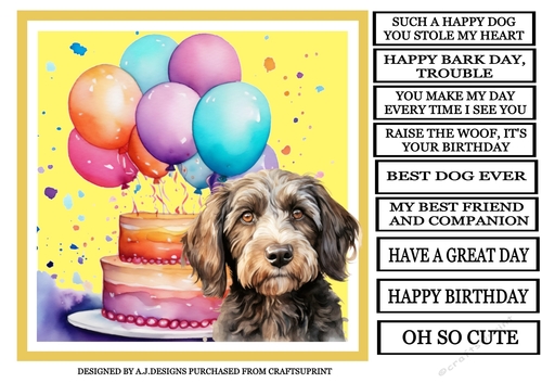 BEST DOG EVER  COCKAPOO OH SO CUTE