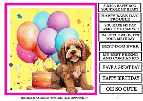 BEST DOG EVER COCKAPOO OH SO CUTE 3