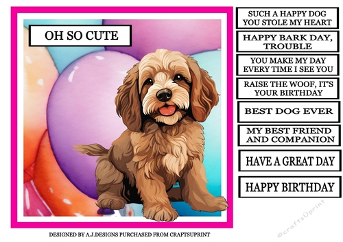 BEST DOG EVER COCKAPOO OH SO CUTE 4