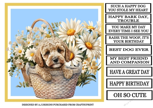 BEST DOG EVER COCKAPOO OH SO CUTE 4