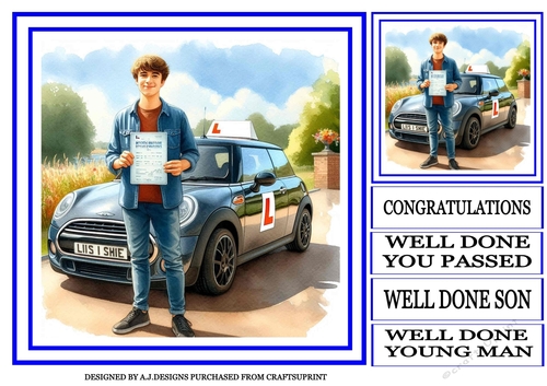 PASSED DRIVING TEST MALE 2