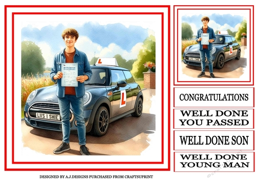 PASSED DRIVING TEST MALE 3