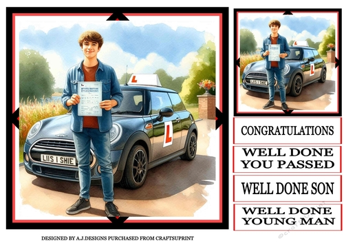 PASSED DRIVING TEST MALE 5