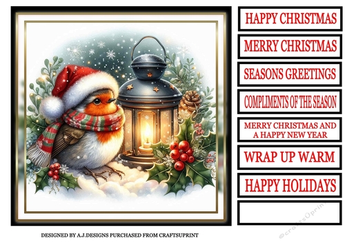 CHRISTMAS ROBIN 1