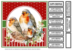 CHRISTMAS ROBIN FAMILY