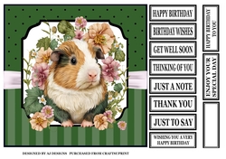 GUINEA PIG WISHES
