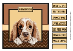AMERICAN COCKER SPANIEL - JUST TO SAY