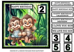 HAPPY BIRTHDAY YOU LITTLE MONKEY