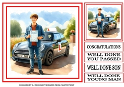 PASSED DRIVING TEST MALE 3