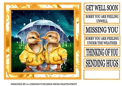 GET WELL CHICKS 1