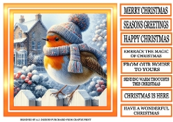 cup1452966_123820 - CHRISTMAS ROBIN 6A