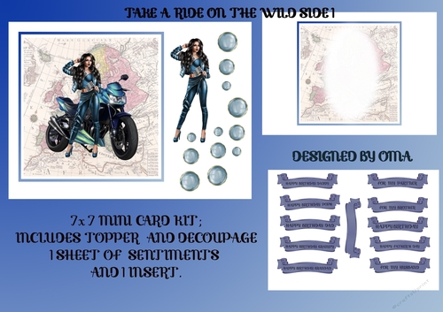 Take a Ride on the Wild Side 1