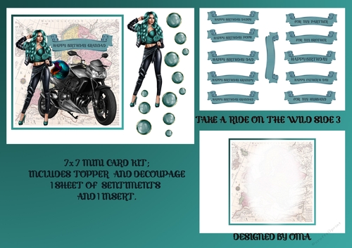 Take a Ride on the Wild Side 3