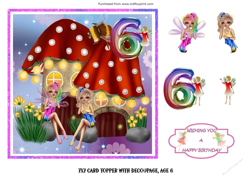 Fairy age topper 6